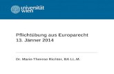 Pflichtübung aus Europarecht 13. Jänner 2014 Dr. Marie-Therese Richter, BA LL.M.