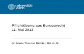 Pflicht¼bung aus Europarecht 11. Mai 2013 Dr. Marie-Therese Richter, BA LL.M