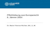 Pflichtübung aus Europarecht 8. Jänner 2014 Dr. Marie-Therese Richter, BA, LL.M.