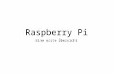 Raspberry Pi Eine erste Übersicht. Hardware Raspberry Pi B.