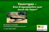 Tauerngas – Eine Erdgaspipeline quer durch die Alpen? DI Michael JOHANN Grüne Bäuerinnen und Bauern Österreich 14. März 2008, Villach.