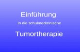 Einführung in die schulmedizinische Tumortherapie.
