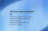 Winterspaziergang Von Garsebach bis nach Semmelsberg auf der ehemaligen Kleinbahnstrecke im Januar 2009.