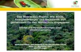 Das Mbaracayú Projekt: Wie NGOs, Energieversorger und Rockbands sich gemeinsam für den Waldschutz engagieren Erfolge und Herausforderungen eines Waldklimaprojekts.