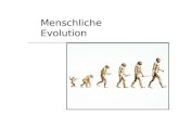 Menschliche Evolution. 2Otzi2 Evolution - Zeitlinie