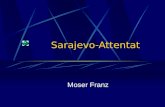 Sarajevo-Attentat Moser Franz. Themenübersicht Kaiserfamilie Gründe für das Attentat Attentat Auswirkungen Quellen.