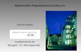 Ulrich Nübel Bakterielle Populationsstrukturen nuebelu@rki.de Burgstr. 37, Wernigerode.