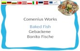 Comenius Works Baked Fish Gebackene Bonito Fische
