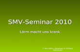 SMV-Seminar 2010 Lärm macht uns krank T. Bösl (StRin), Realschule im Stiftland Waldsassen.