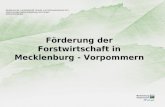 Förderung der Forstwirtschaft in Mecklenburg - Vorpommern Ministerium für Landwirtschaft, Umwelt und Verbraucherschutz M-V Abteilung Nachhaltige Entwicklung.