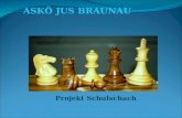 ASKÖ JUS BRAUNAU Projekt Schulschach. Vor Gründung des JUS Braunau sah die Schulschachlandschaft in Braunau so aus: