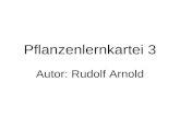Pflanzenlernkartei 3 Autor: Rudolf Arnold. Pflanze 1 Gattung Merkmale Schädigung Bekämpfung.