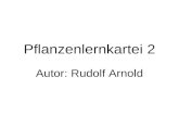 Pflanzenlernkartei 2 Autor: Rudolf Arnold. Pflanze 1 Gattung Merkmale Schädigung Bekämpfung.
