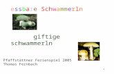 1 essbare Schwammerln giftige schwammerln Pfaffst¤ttner Ferienspiel 2005 Thomas Fernbach