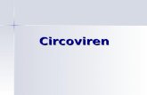 Circoviren. SGD-Statistik Cl. perfringens Typ C, Lawsonia, Circoviren.