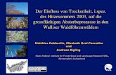 Der Einfluss von Trockenheit, i.spez. des Hitzesommers 2003, auf die grossflächigen Absterbeprozesse in den Walliser Waldföhrenwäldern Swiss Federal Institute.