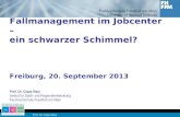Prof. Dr. Claus Reis Fallmanagement im Jobcenter – ein schwarzer Schimmel? Freiburg, 20. September 2013 Prof. Dr. Claus Reis Institut für Stadt- und Regionalentwicklung.