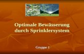 Optimale Bewässerung durch Sprinklersystem Gruppe 1.