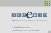1 EULe-Modellprojekt Sachstandsbericht NIKE, 29.07.09 Stuttgart Adelsheim, Osterburken, Ravenstein, Rosenberg, Seckach.