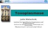 Toxoplasmose Julia Walochnik Institut für Spezifische Prophylaxe und Tropenmedizin Zentrum für Pathophysiologie, Infektiologie und Immunologie Medizinisch.