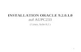 1 INSTALLATION ORACLE 9.2.0.1.0 auf AUPC233 ( Linux, SuSe 8.2 )