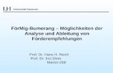 FörMig-Bumerang – Möglichkeiten der Analyse und Ableitung von Förderempfehlungen Prof. Dr. Hans H. Reich Prof. Dr. İnci Dirim Marion Döll Universität Hannover.