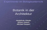 Botanik in der Architektur Heidelinde Wieder Miriam Götsch Michael Gasperl Experimente im Biologieunterricht.