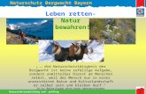 Naturschutz Bergwacht Bayern Naturschutzausbildung und -prüfung 1 … die Naturschutztätigkeit der Bergwacht ist keine zufällige Aufgabe, sondern unmittelbar.