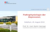 Pathophysiologie der Depression Solothurn, 26. August 2010 Prof. Dr. med. Martin Hatzinger Psychiatrische Dienste Solothurn & Universität Basel Universitäres.