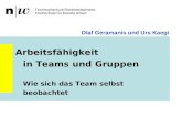 Olaf Geramanis und Urs Kaegi Arbeitsfähigkeit in Teams und Gruppen Wie sich das Team selbst beobachtet.