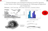 Untersuchungen zum Sommerwachstum juveniler Sprotten in der Ostsee unter Berücksichtigung der Nahrungsverfügbarkeit und Temperatur Diplom-Arbeit 54,5°