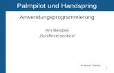 1 Palmpilot und Handspring Anwendungsprogrammierung Am Beispiel „Schiffeversenken“ Andreas Scholz.