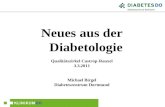 Neues aus der Diabetologie Qualitätszirkel Castrop-Rauxel 3.3.2011 Michael Birgel Diabeteszentrum Dortmund.
