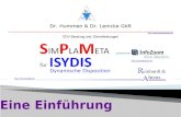 SimPlaMeta für ISYDIS ist eine Logistik-Software zur Optimierung des Lagerbestandes bei benutzerdefinierter Artikel-Lieferfähigkeit.  SimPlaMeta für.