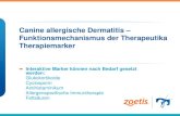 Canine allergische Dermatitis – Funktionsmechanismus der Therapeutika Therapiemarker Interaktive Marker können nach Bedarf gesetzt werden: Glukokortikoide.