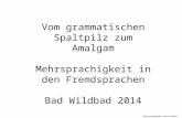 Vom grammatischen Spaltpilz zum Amalgam Mehrsprachigkeit in den Fremdsprachen Bad Wildbad 2014 Mehrsprachigkeit Bad Wildbad Semrau 2014.