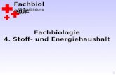 Fachbiologie RA-Ausbildung 2004 1 Fachbiologie 4. Stoff- und Energiehaushalt.