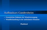 Aufbaukurs Gandersheim – Gesetzlicher Rahmen der Wundversorgung – Wundbehandlung in der ambulanten Situation Phadimed.