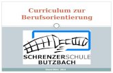 Curriculum zur Berufsorientierung. Vorwort Die folgende Präsentation möchte den Bereich Berufsorientierung an der Schrenzerschule Butzbach verdeutlichen