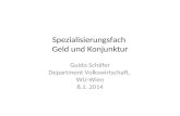 Spezialisierungsfach Geld und Konjunktur Guido Schäfer Department Volkswirtschaft, WU-Wien 8.1. 2014.
