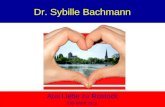 Dr. Sybille Bachmann Aus Liebe zu Rostock OB-Wahl 2012.