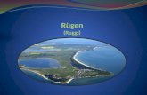 Rügen ist die größte deutsche Insel. Sie liegt vor der pommerschen Ostseeküste und gehört zu Mecklenburg-Vorpommern. Das „Tor“ zur Insel Rügen ist die.