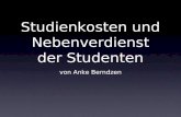 Studienkosten und Nebenverdienst der Studenten von Anke Berndzen.