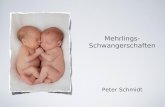 Mehrlings- Schwangerschaften Peter Schmidt. Hellin´sche Regel (1895): Zwillinge 1: 85 Drillinge 1: 85 x 85 Vierlinge: 1: 85 x 85 x 85.