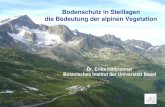 Bodenschutz in Steillagen die Bedeutung der alpinen Vegetation Dr. Erika Hiltbrunner Botanisches Institut der Universität Basel.