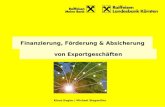Klaus Kogler | Michael Stegmüller Finanzierung, Förderung & Absicherung von Exportgeschäften.