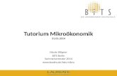 1 BiTS: Tutorium Mikroökonomik, 31.05.14 Tutorium Mikroökonomik 31.05.2014 Nicole Wägner BiTS Berlin Sommersemester 2014 .