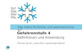 Eidg. Institut für Schnee- und Lawinenforschung SLF Gefahrenstufe 4 Definitionen und Anwendung Thomas Stucki, Lukas Dürr Lawinenwarndienst.