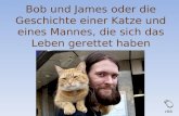 Bob und James oder die Geschichte einer Katze und eines Mannes, die sich das Leben gerettet haben click.