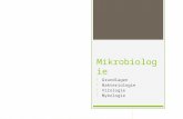 Mikrobiologie - Grundlagen - Bakteriologie - Virologie - Mykologie.